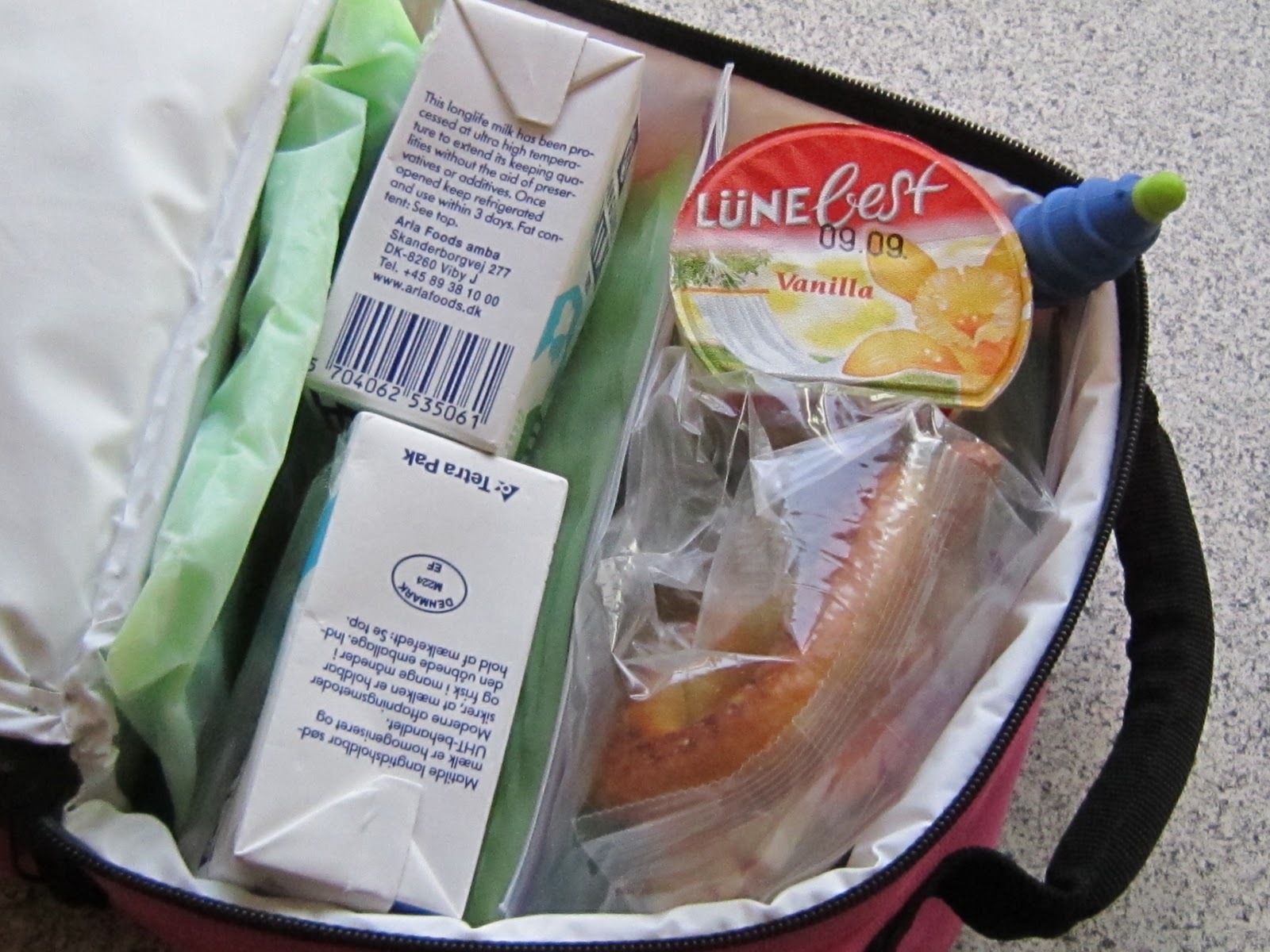 Parrish Platz DIY Lunchbox ice packs