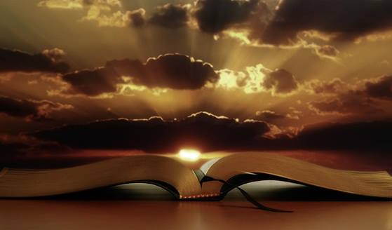 Image result for forthebrokenhearted.net page break