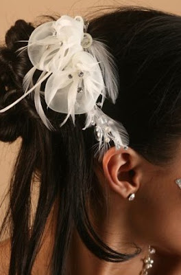 - Tiaras und einige Tipps zu platzieren -