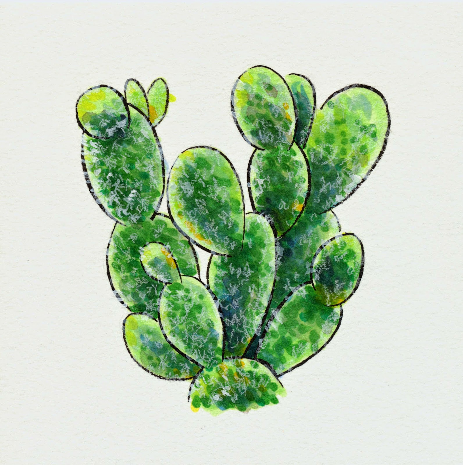 Nattosoup Studio Art and Process Blog Teeny Tiny Cacti Succulent