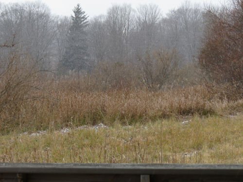 snowing