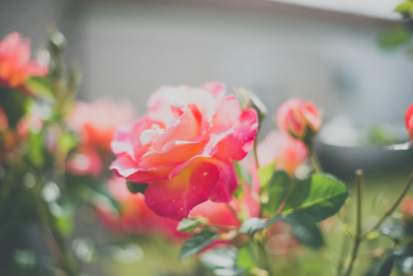 ©estermiriamfotografia