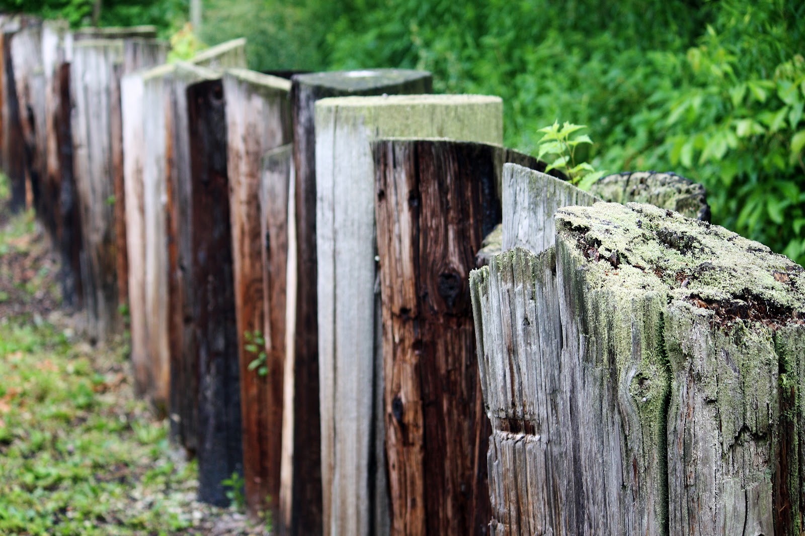 Round The Bend Friday's Fences