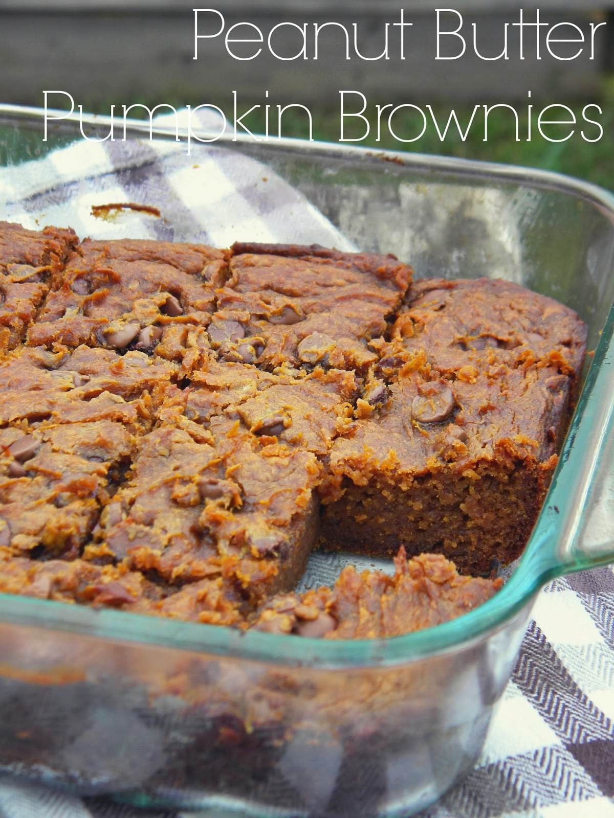 Louisiana Bride 31 Days of Frugal Paleo Nut Butter Pumpkin Brownies