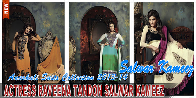 Actress Raveena Tandon Salwar Kameez 2013-14