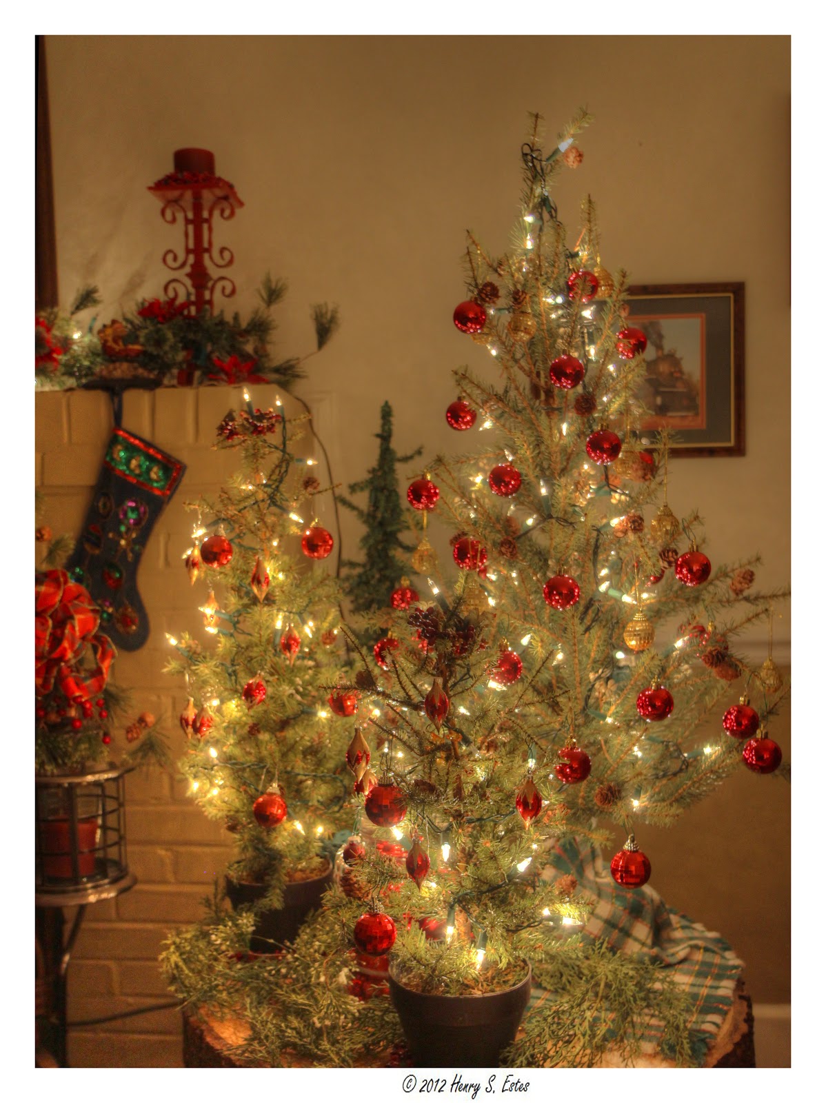 Henry S. Estes Photography Yule Tree