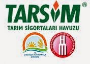tarsim