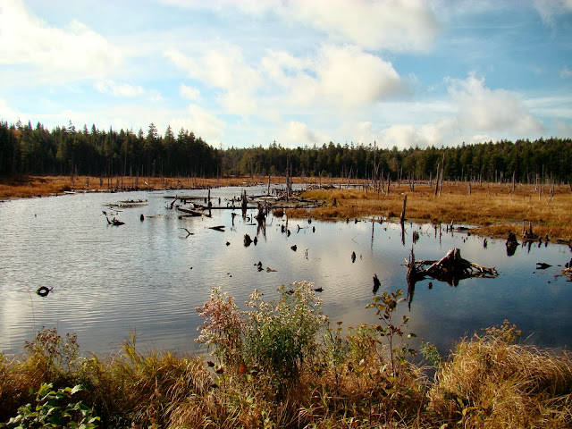 Fundy National Park - A Pinay's Diary