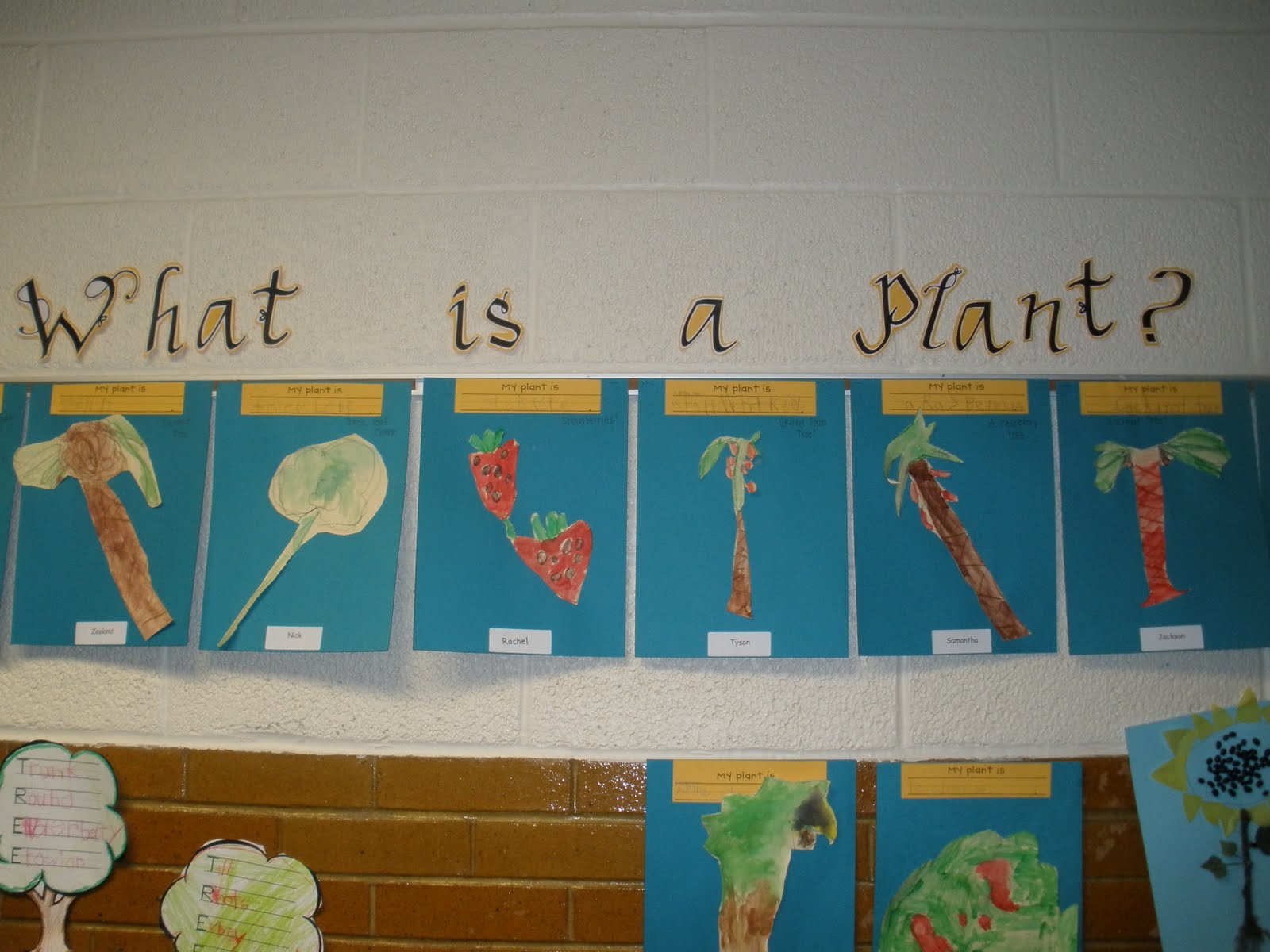 The Art of Teaching: A Kindergarten Blog: Plant Unit and Art