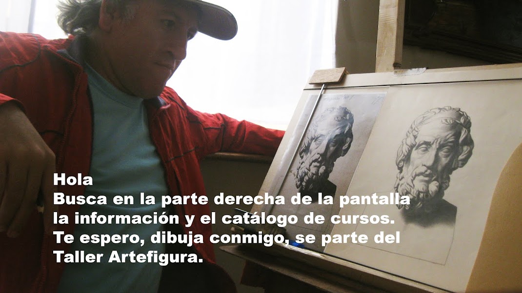 ENSEÑANZA DE DIBUJO Y PINTURA ACADÉMICA. POR VIDEOCURSOS , LIBROS TÉCNICOS Y LÁMINAS DE ESTUDIO.