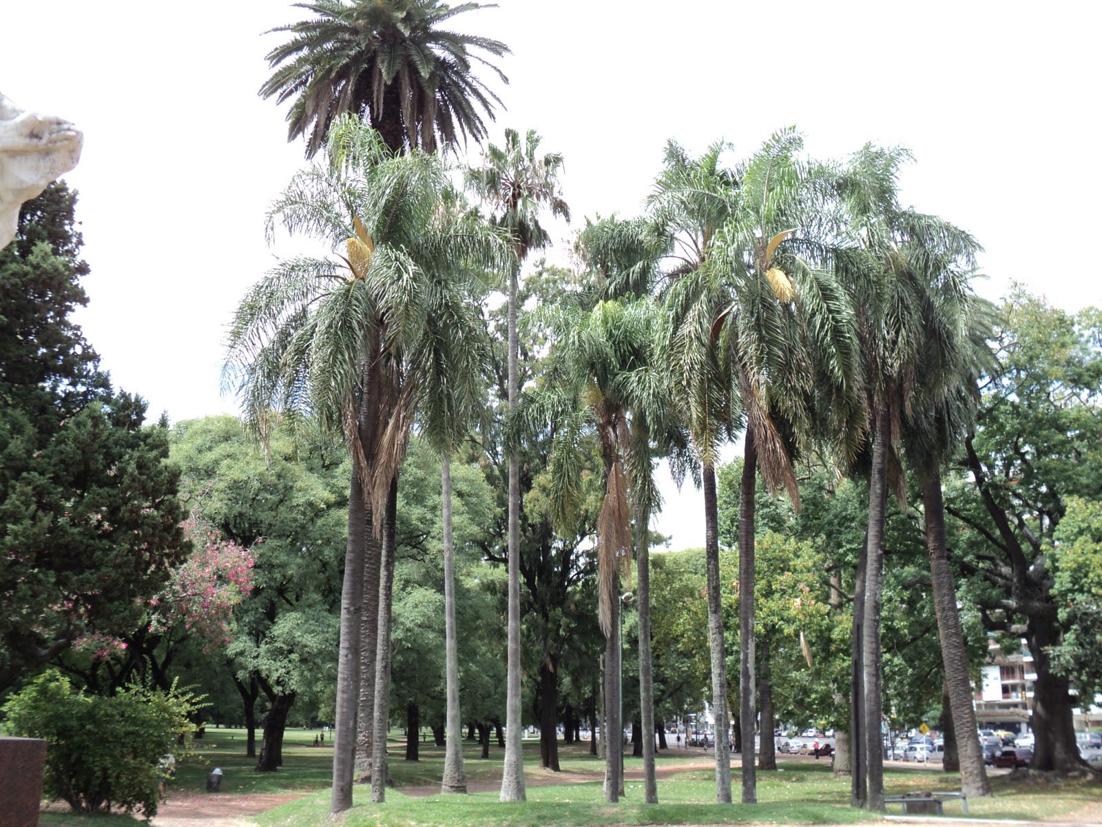 imagenes y poesias: Los Bosques de Palermo.