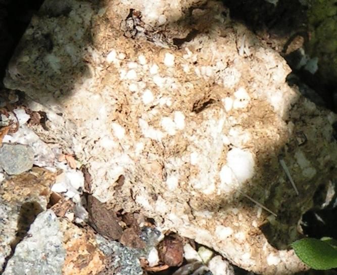 Hypertufa Rocks