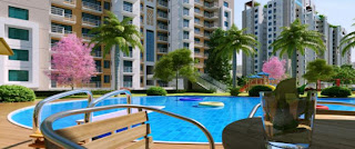 sare springview heights sare springview heights