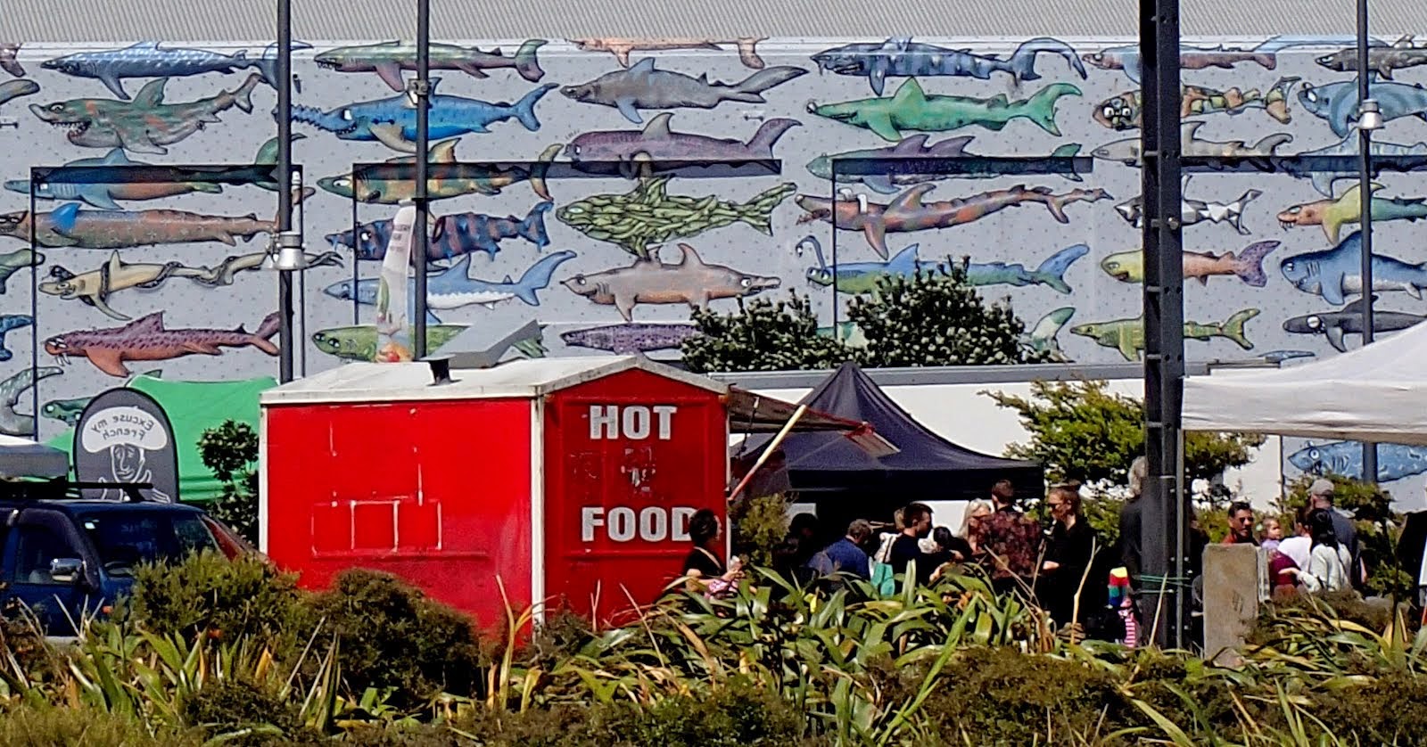 Chaffers Dock Sunday market with shark backdrop