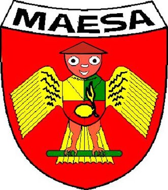 Logo Maesa