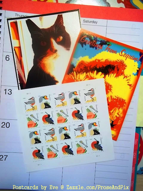 Postcards by Eve @ Zazzle.com/ProseAndPix