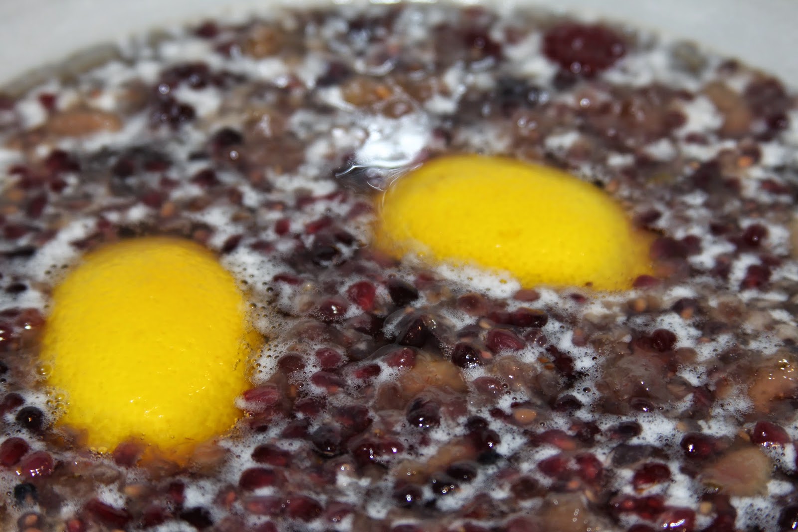 The Homemade Housewife Homemade, NaturallyFermented Honey Mead (part 2)