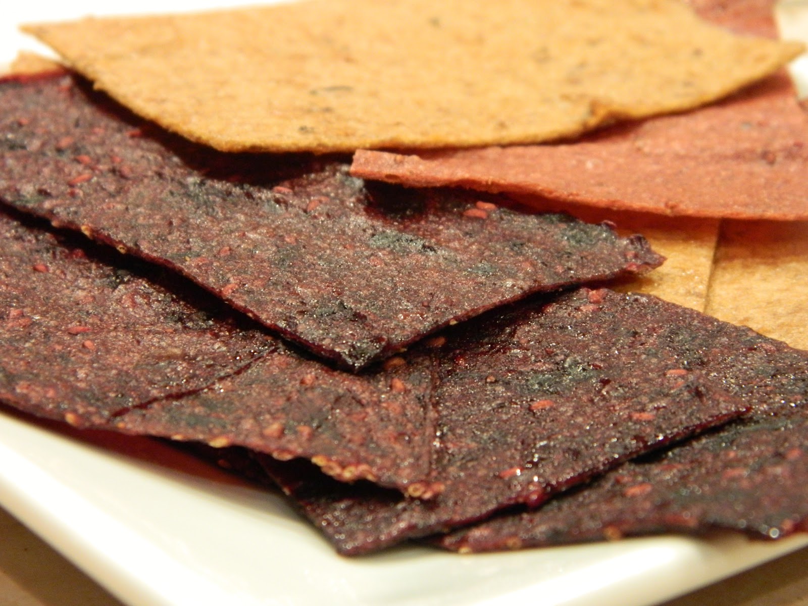 Primal Bites Homemade All Natural Fruit Leathers