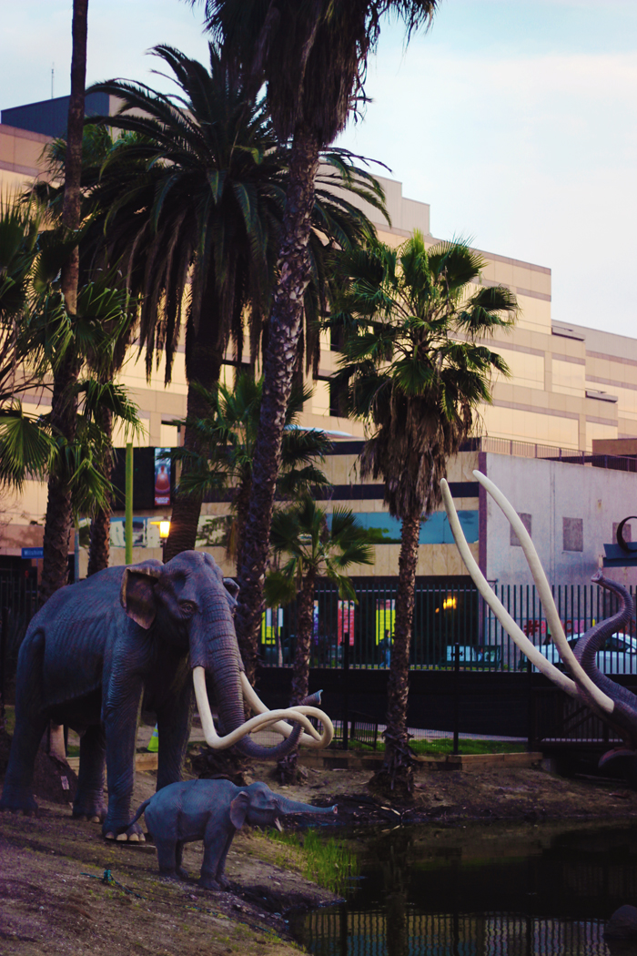 Places to see on wilshire blvd la brea tar pits