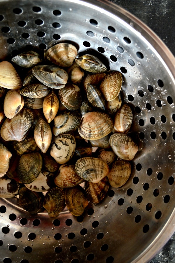 [Chinese Recipes] StirFried Clams in Black Bean Sauce All Asian