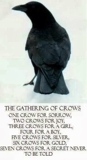 The clever crow moral image