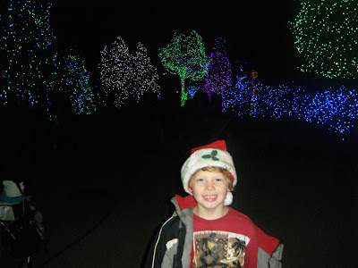 Toledo Zoo Christmas Lights