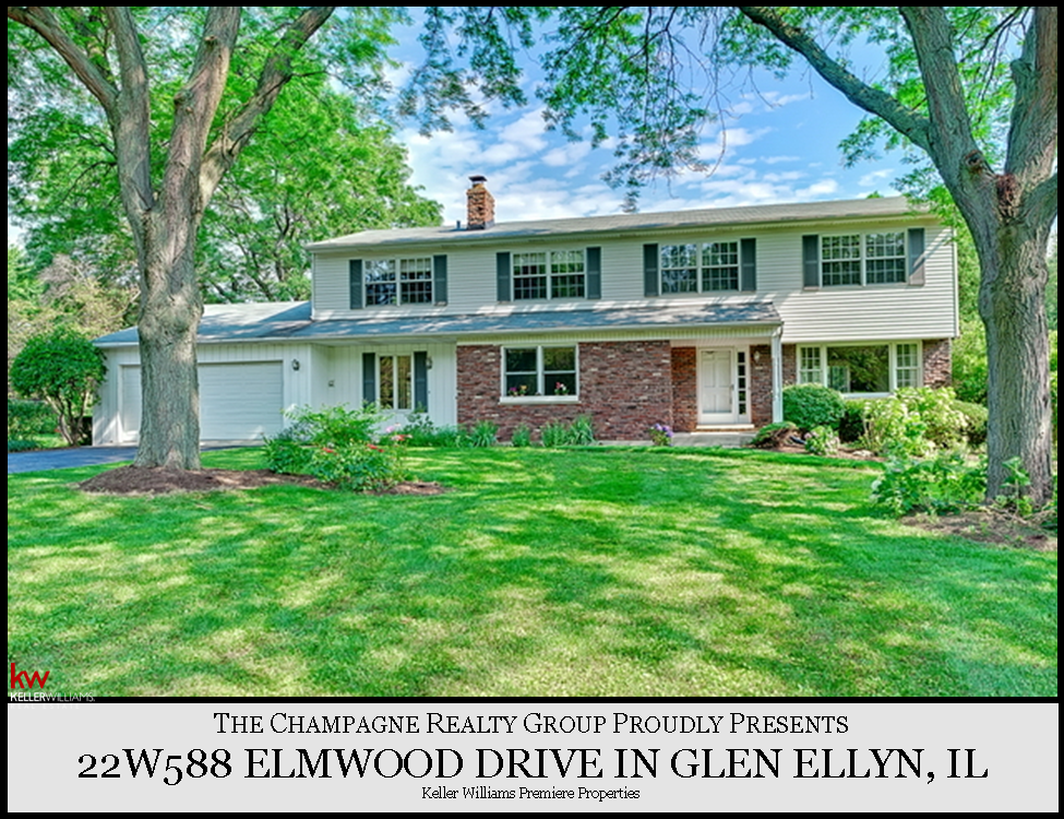 Wheaton and Glen Ellyn Real Estate Blog Just Listed For Sale 22w588