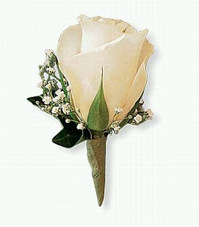 Rosa Blanca con tallo envuelto. Rosa Blanca con tallo envuelto.