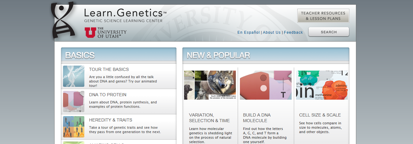 cell size and scale genetics satukis info cell size and scale