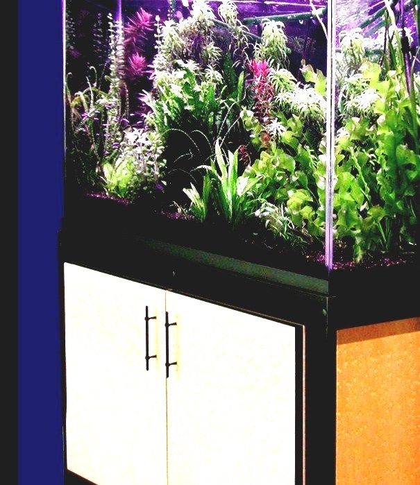 Petsmart Petsmart Fish Tank Stand