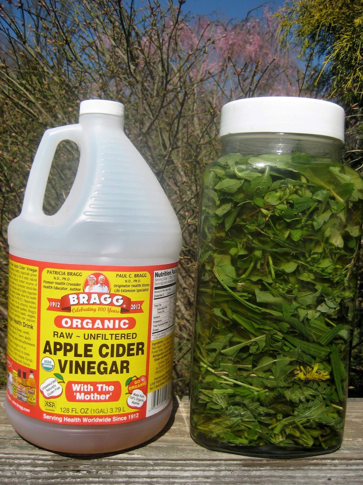 Meadow Muffin Gardens Healthy Vinegars from your Plant Allies