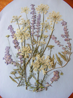 Pressed Flower Picture how to DIY, Queen Anne's Lace, Russian Sage