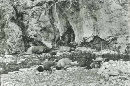 encontre alguem pelo rg