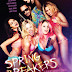 Spring Breakers 2013 RC BRRip CAM AUDiO XViD-MORS