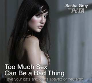 sasha grey sexy