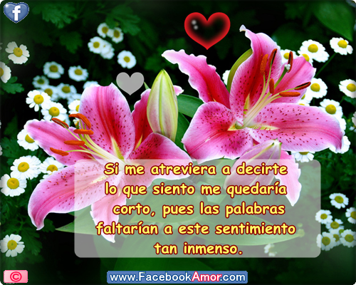 Postales bonitas con flores para el amor compartir en facebook ...