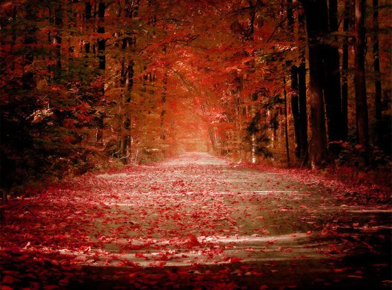 autumn desktop background Autumn Fall Wallpapers Free Desktop Picture Gallery