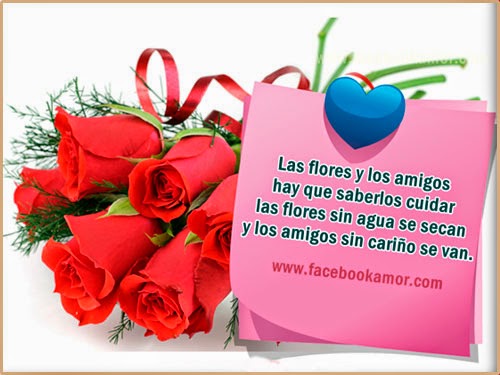 imagenes-con-frases-bonitas-de-amistad