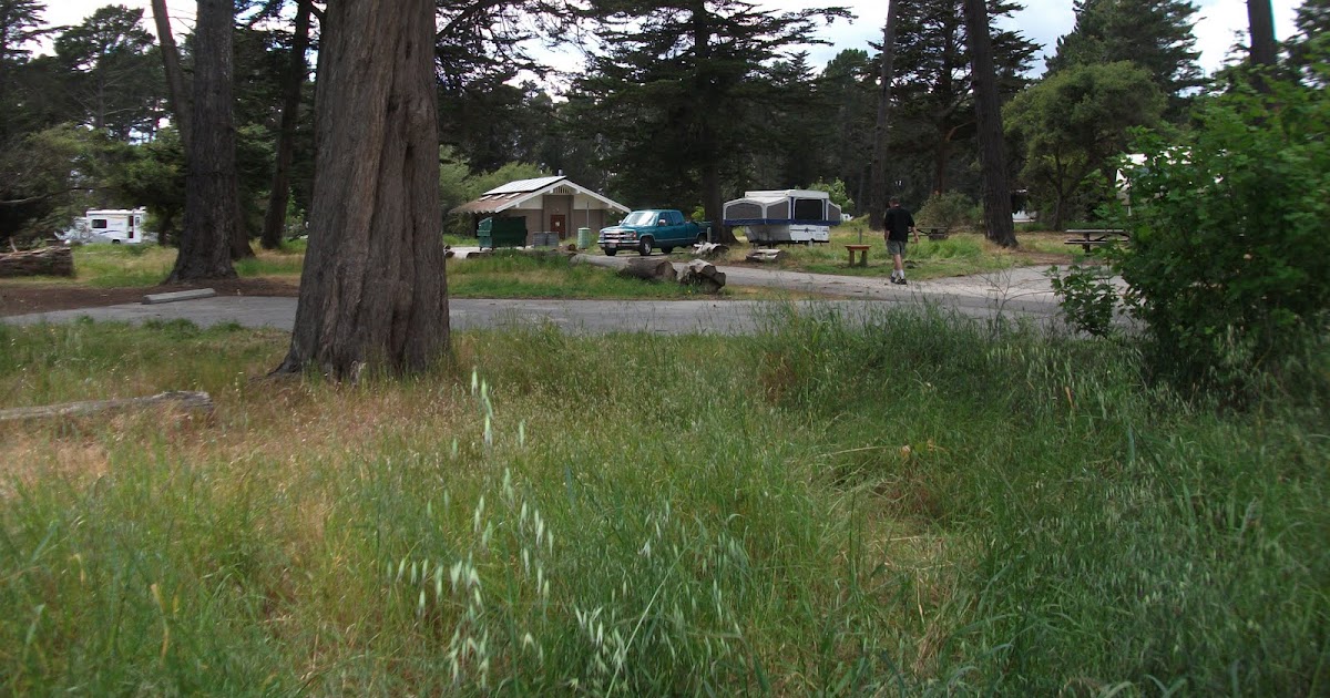 Cozy Little Quilts Camping in Capitola......