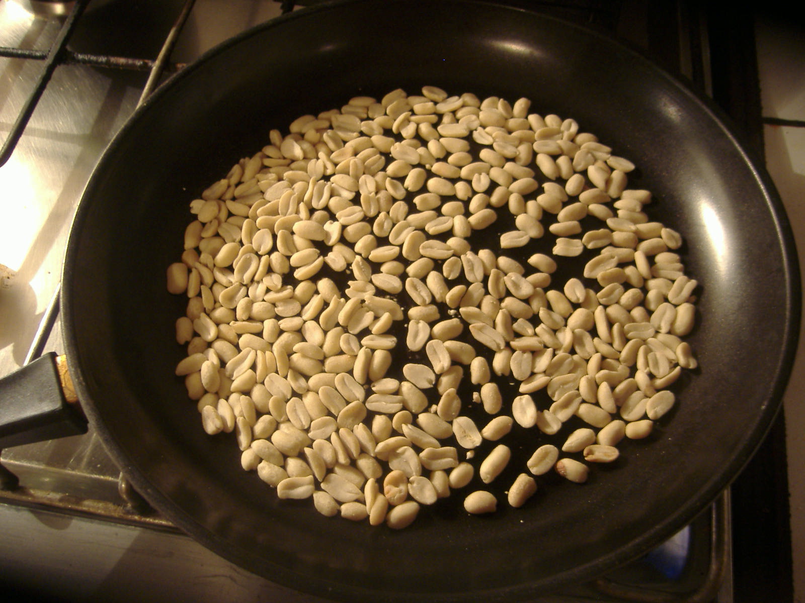 Cocinando vegan con Sol Marianela leche de mani♥