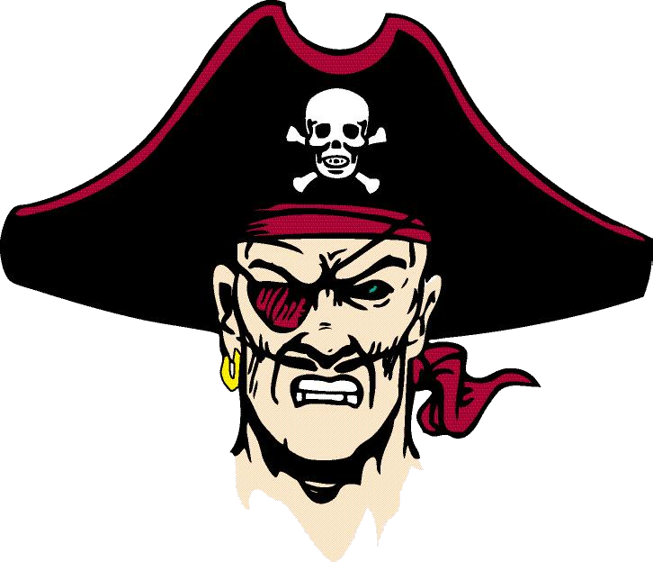 The Braden River softball team