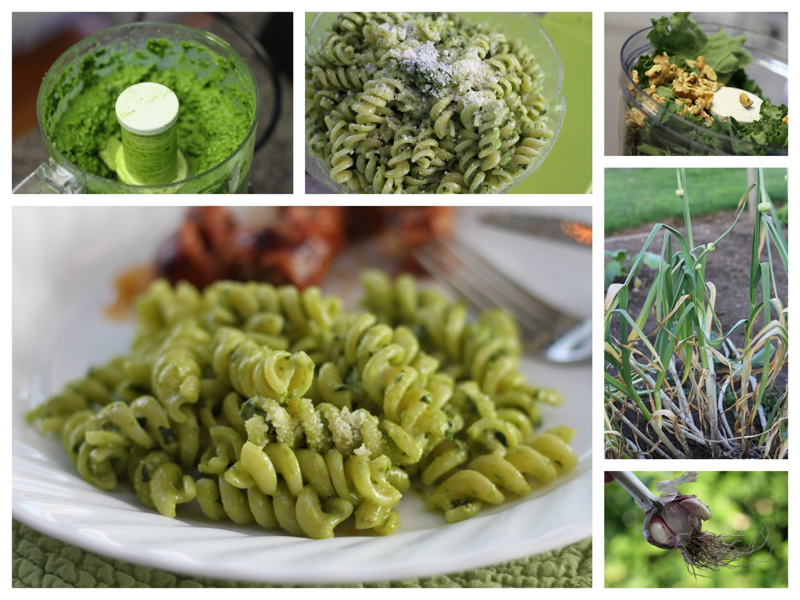 Mennonite Girls Can Cook Kale Pesto