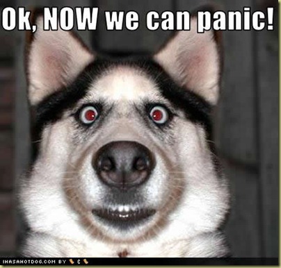 funny-dog-pictures-now-panic%255B5%255D.jpg