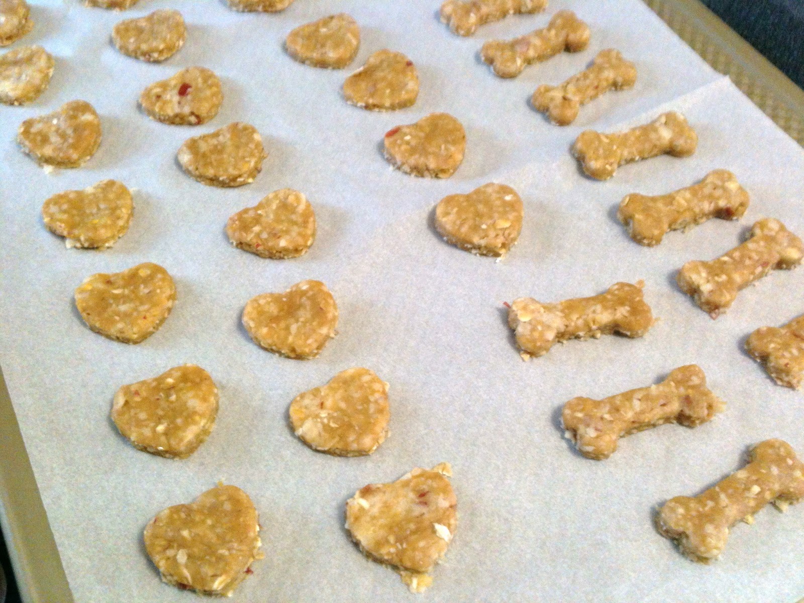 Holly Goes Lightly Homemade Dog Biscuits