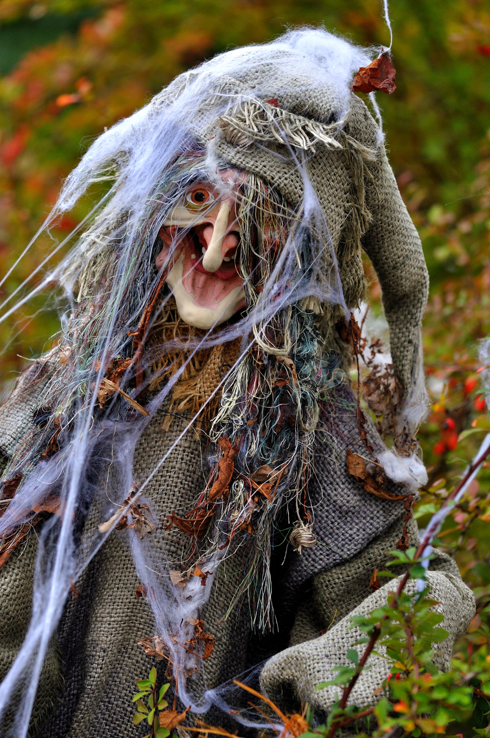 rencontre entre zombie