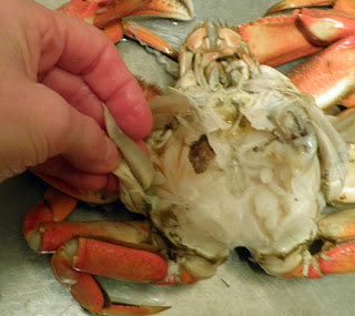 Fingers preparing to pinch off gills