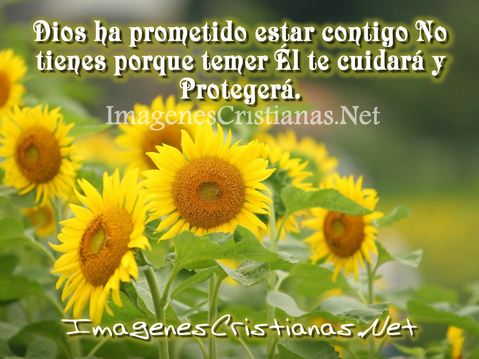 Clama A Mi Y Yo Te Respondere Dice Dios Clama A Mi Y Yo Te Respondere