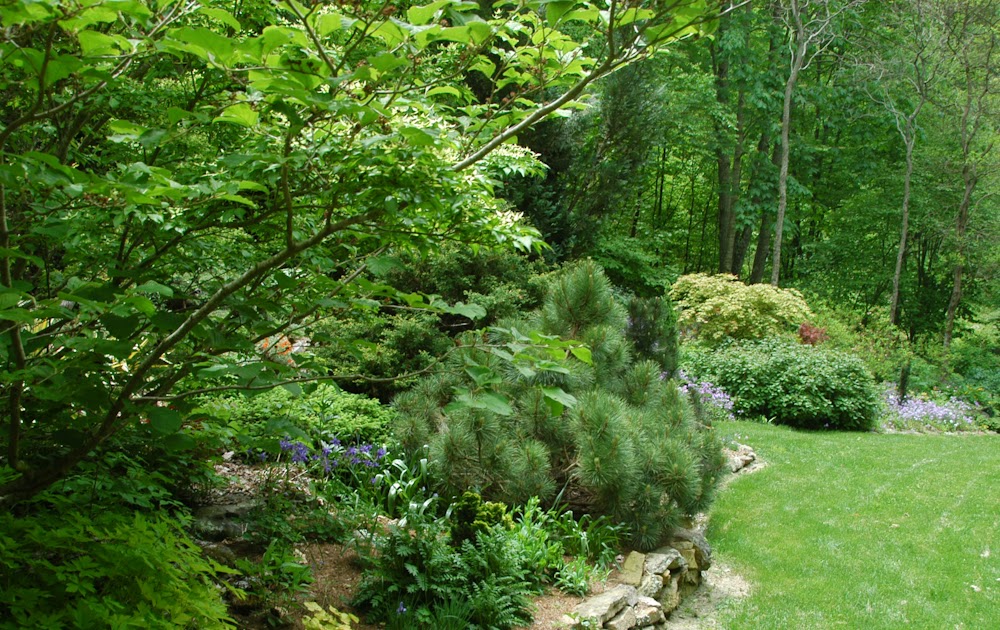 Natural Gardening Swallowtail Gardens