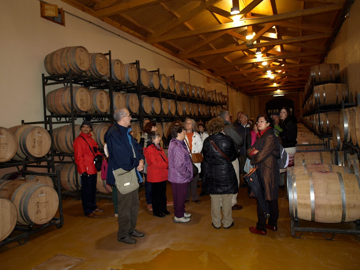Cata de vino en Bodegas "El Lagar de Isilla".