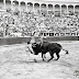 SIN DÁMASO, NO HAY FERIA